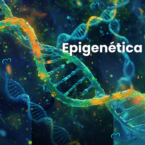 Epigenética y caída del cabello: cómo tus genes y tu estilo de vida influyen en la salud capilar